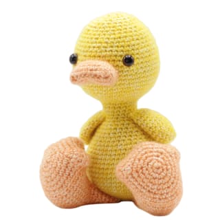 Abby Duck