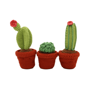 Cactussen