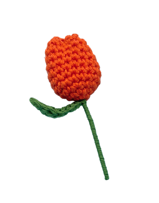 Little Dutch Tulip